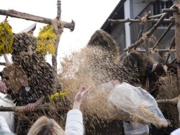 Allschwiler Fasnacht 26 - Andreas Lutz